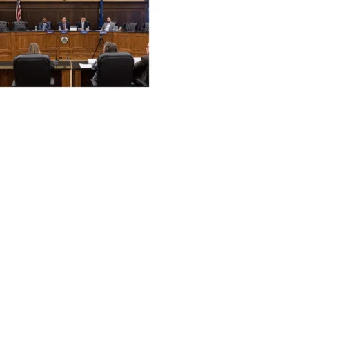 Senate Democrats host food cost hearing